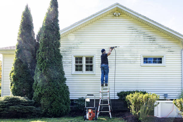 Best Power Washing Near Me  in Gwinn, MI